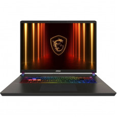Ноутбук MSI Vector 17 HX AI A2XWIG-044XUA (9S7-17S372-044) Meta Ready