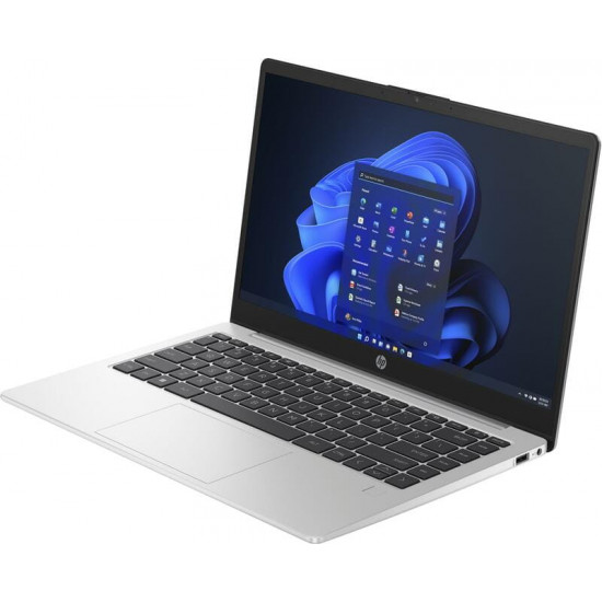Ноутбук HP 245 G10 (A3DU5ES) Silver
