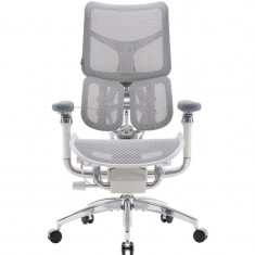 Крісло офісне Sihoo Doro S300 Mesh Light Grey (S300-M202)