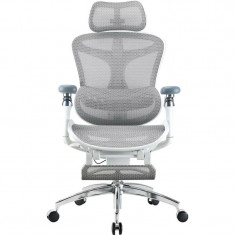 Крісло офісне Sihoo Doro C300 Pro Mesh White with footrest (Doro-C300-Pro-M102-JT)