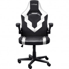 Крісло для геймерів Trust GXT 703W Riye White (25130)