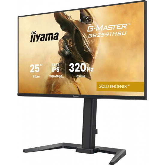 Монітор Iiyama 24.5" G-Master GB2591HSU-B1 IPS Black 320Hz