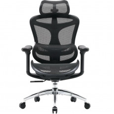 Крісло офісне Sihoo Doro C300L Mesh Black (DORO-C300L-A3-101)
