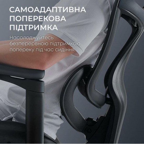 Крісло офісне Sihoo Doro C300L Mesh Black (DORO-C300L-A3-101)