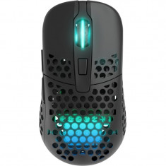 Миша бездротова Xtrfy M42 Wireless RGB Black (M42W-RGB-BLACK)