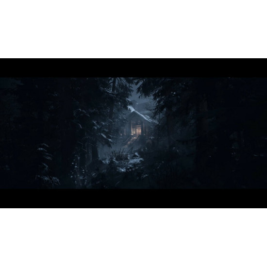 Гра Until Dawn для Sony PlayStation 5, Blu-ray (1000044321)