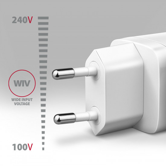 Зарядний пристрій Axagon 65W White (ACU-DPQ65W)