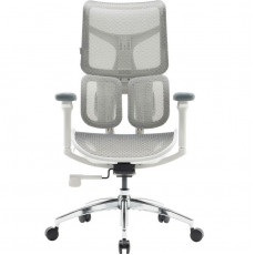Крісло офісне Sihoo Doro S100 Mesh White (S100-M302)
