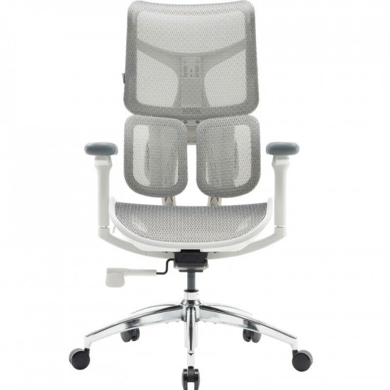 Крісло офісне Sihoo Doro S100 Mesh White (S100-M302)