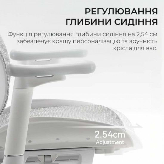 Крісло офісне Sihoo Doro S100 Mesh White (S100-M302)