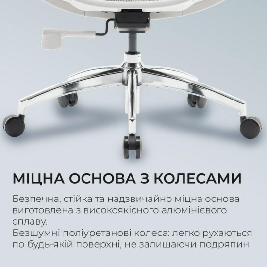 Крісло офісне Sihoo Doro S100 Mesh White (S100-M302)