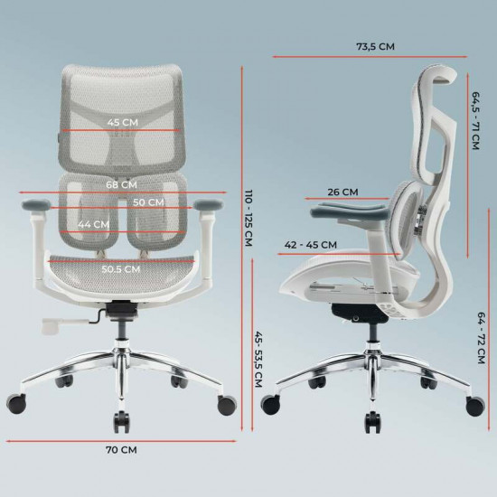Крісло офісне Sihoo Doro S100 Mesh White (S100-M302)