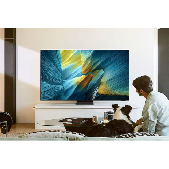 Телевізор Samsung QE55S95FAUXUA