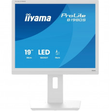 Монітор Iiyama 19" ProLite B1980S-W1 TN White