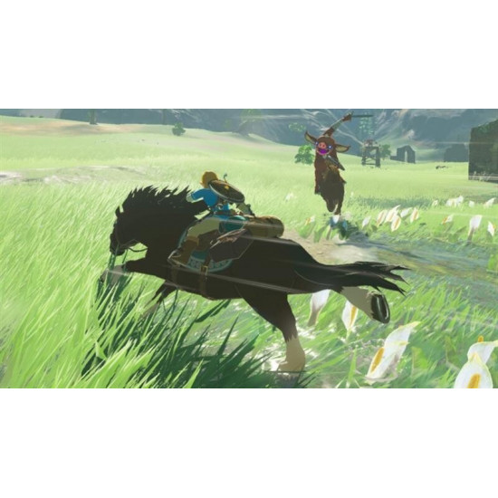 Гра The Legend of Zelda: Breath of the Wild для Nintendo Switch (045496420055)