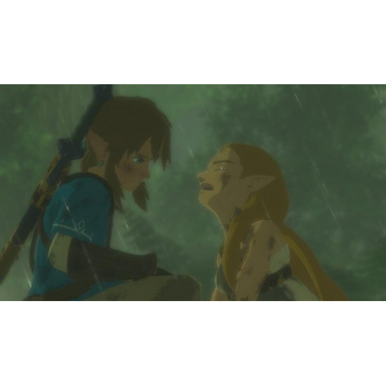 Гра The Legend of Zelda: Breath of the Wild для Nintendo Switch (045496420055)