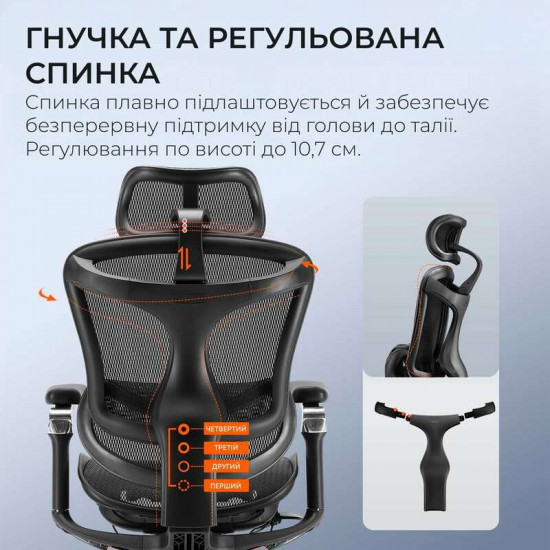 Крісло офісне Sihoo Doro C300 Pro Mesh Black (DORO-C300-PRO-M101)