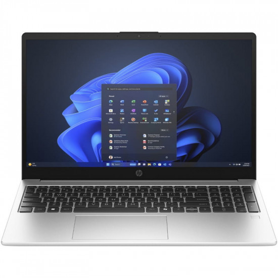 Ноутбук HP 255R G10 (CJ2Q6AT) Silver