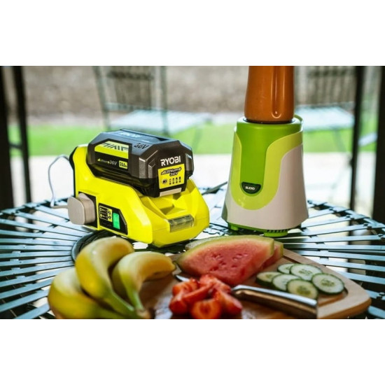 Інвертор Ryobi Max Power RY36BI300A-0 36V 300/500W без АКБ та ЗП (5133004893)