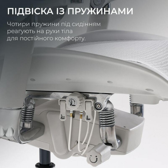 Крісло офісне Sihoo Doro S100 Mesh Black (S100-M301)