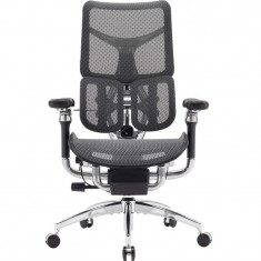 Крісло офісне Sihoo Doro S300 Mesh Dark Grey (S300-M201)