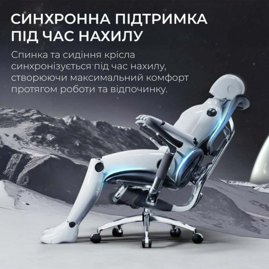 Крісло офісне Sihoo Doro S300 Mesh Dark Grey (S300-M201)