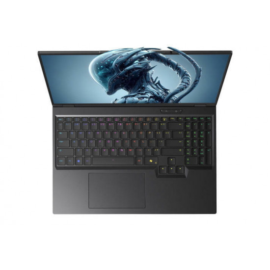 Ноутбук Dream Machines RX5090-16 (RX5090-16UA27) Black