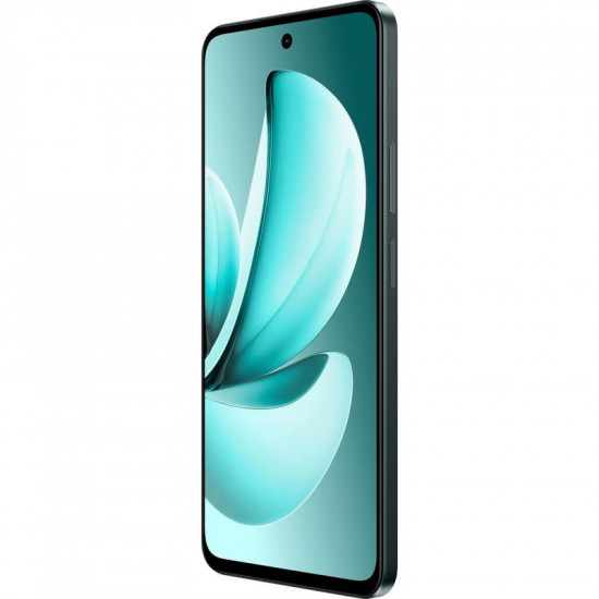 Смартфон Realme C71 6/128GB (RMX5303) Forest Owl