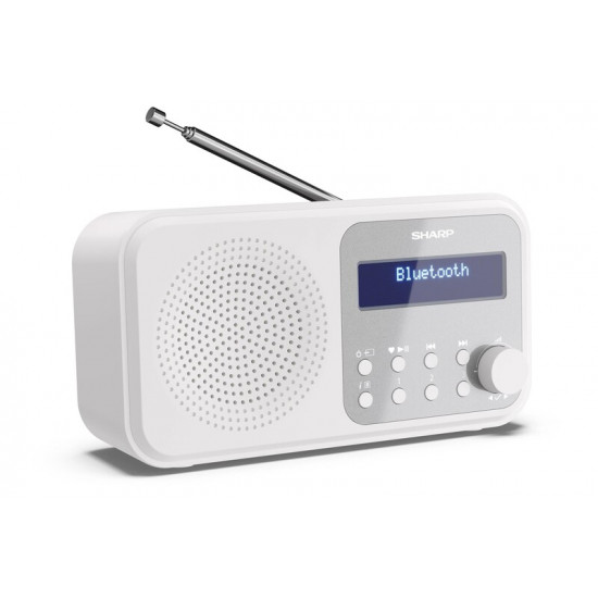 Радіоприймач Sharp DR-P420 Snowy White (DR-P420(WH))